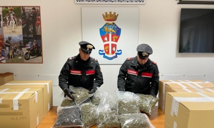 FONTE NUOVA: SPACCIO NEL NEGOZIO DI CANNABIS, DUE ARRESTI
