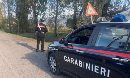 SABAUDIA: AUTO CONTRO ALBERO, MORTO UN RAGAZZO