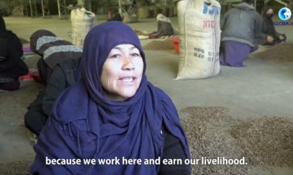 Afghanistan: esportazione pinoli in Cina offre lavoro a gente locale