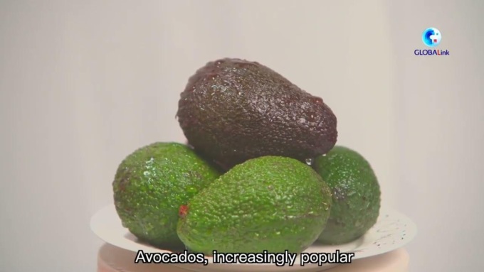 Cina: colture speciali estere prosperano grazie a vitalità economica nazionale