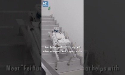 Cina: Guangdong, cane robot aiuta con ispezione di centrale elettrica
