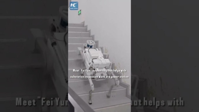 Cina: Guangdong, cane robot aiuta con ispezione di centrale elettrica