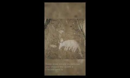 Cina: pitture rupestri ultra-millenarie nel Ningxia