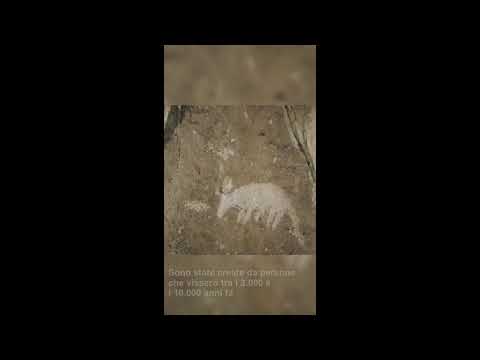 Cina: pitture rupestri ultra-millenarie nel Ningxia