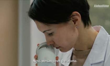 Cina: studentessa russa insegue sogno in Anhui, regione produttrice di tè