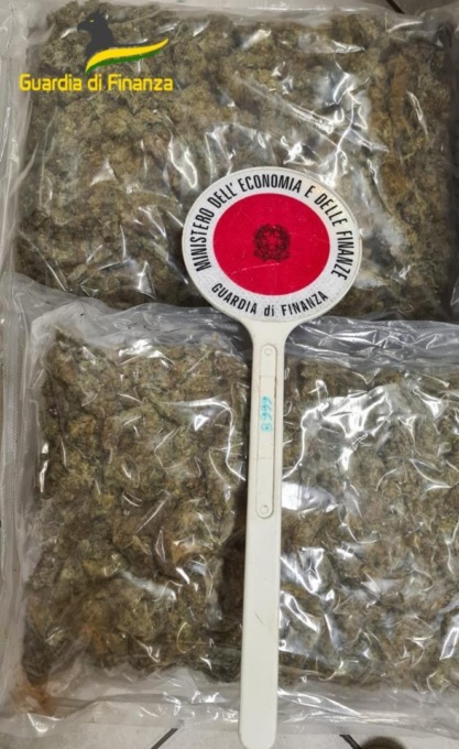 APRILIA: FERMATO CON 135 CHILI DI MARIJUANA