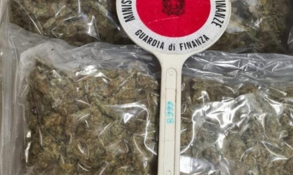 APRILIA: FERMATO CON 135 CHILI DI MARIJUANA