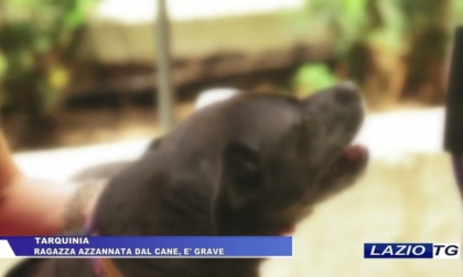 TARQUINIA: RAGAZZINA AZZANNATA DAL CANE, E’ GRAVE