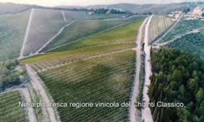 Cina: azienda vinicola italiana esplora opportunità su mercato nazionale