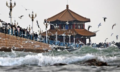 Cina: gabbiani in volo a Qingdao