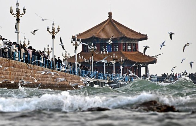 Cina: gabbiani in volo a Qingdao