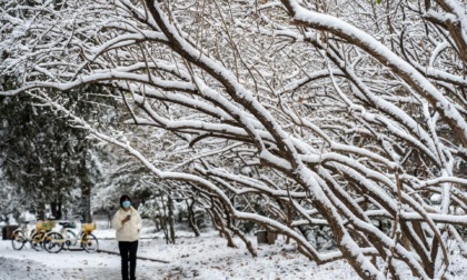 Cina: Shandong, scuole spostano lezioni online causa neve