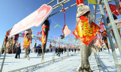 Cina: Heilongjiang, evento di pesca invernale a Daqing (2)