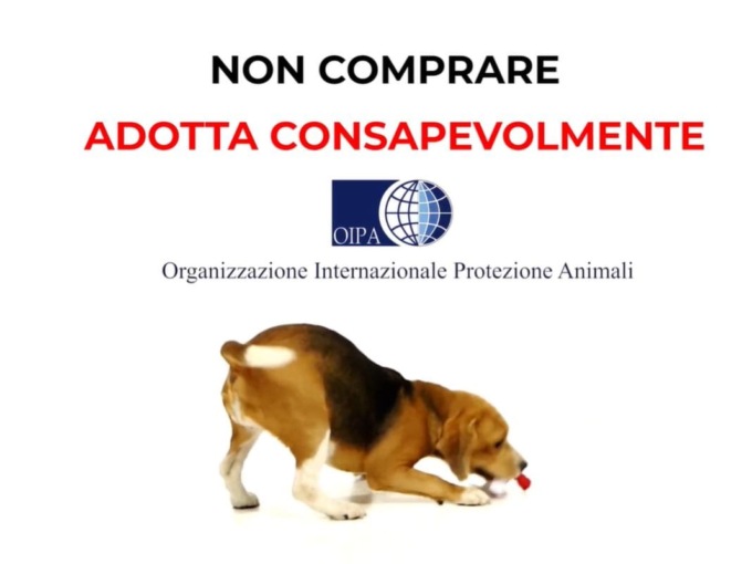 NATALE: CUCCIOLI, LA CAMPAGNA DELL’OIPA