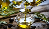 PRIVERNO: “OLIO DI OLIVA, OLIO PER LA SALUTE”, IL CONVEGNO