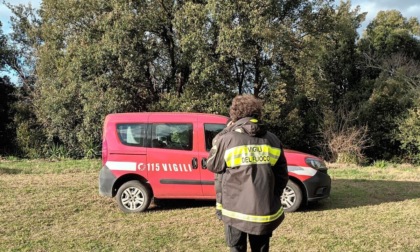 CANINO: GRIDA D’AIUTO IN CAMPAGNA, RICERCHE IN CORSO