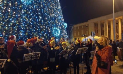 LATINA: ACCESO L'ALBERO DI NATALE IN PIAZZA
