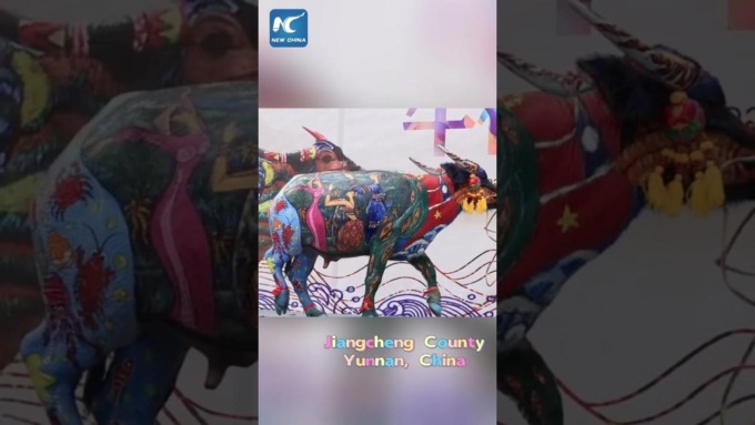 Cina: Yunnan ospita gara di body-painting sui bufali