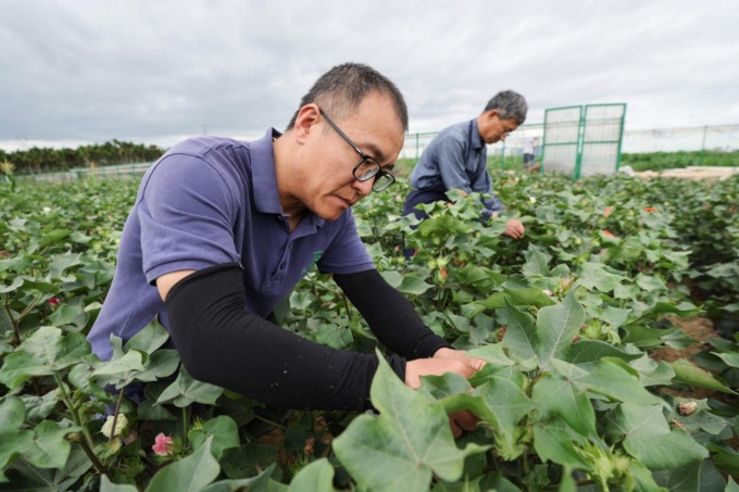 Cina: base nazionale di selezione delle sementi di Hainan a Sanya (1)