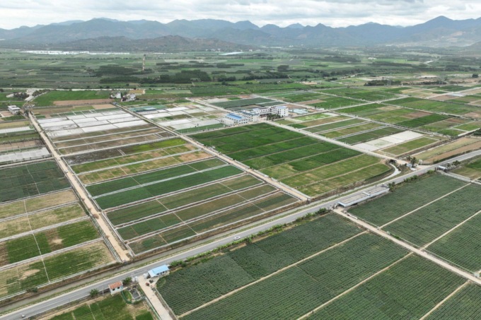 Cina: base nazionale di selezione delle sementi di Hainan a Sanya (3)