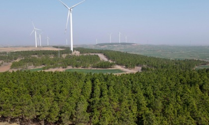 Cina: raggiunti notevoli risultati nell'imboschimento nel 2023