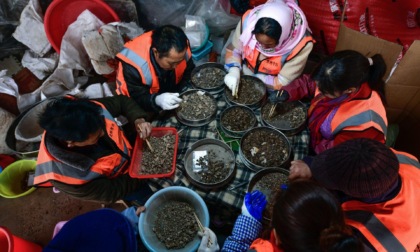 Cina: Guizhou, archeologi scoprono nuovi manufatti nel sito di Chuandong
