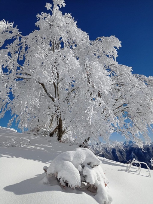 SUBIACO: SI PERDONO SUL MONTE LIVATA, SALVATI
