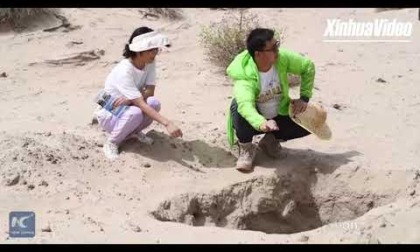 Cina: ecologista uiguro alle prese con la sabbia nel "Mare della Morte"