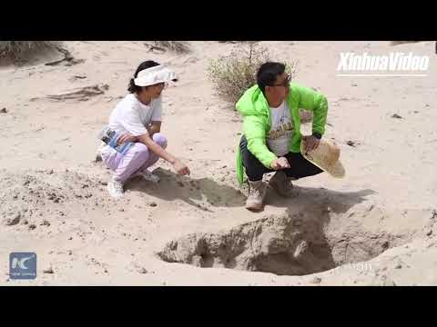 Cina: ecologista uiguro alle prese con la sabbia nel “Mare della Morte”