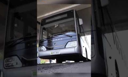 Uzbekistan: popolazione predilige autobus prodotti da Cina