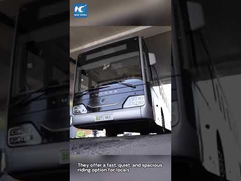 Uzbekistan: popolazione predilige autobus prodotti da Cina
