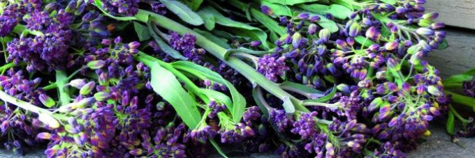 PRIVERNO: “CHIACCHIETEGLI”, UN ORTAGGIO UNICO PER IL TERRITORIO