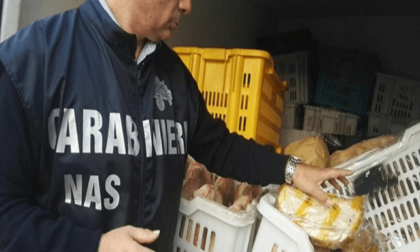 TERRACINA: NAS NEL PANIFICIO, MAXI SEQUESTRO