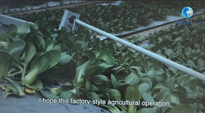 Cina: rivitalizzazione rurale, nuova tendenza di ritorno alle campagne