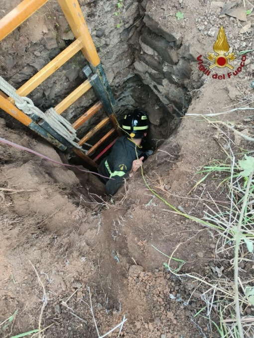 ROMA: CANE PRECIPITA IN UN POZZO, SALVATO DAI VIGILI DEL FUOCO