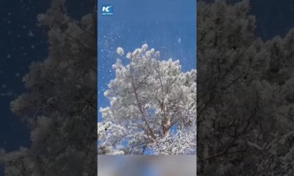 Cina: spettacolare cascata di brina e ghiaccio nello Heilongjiang