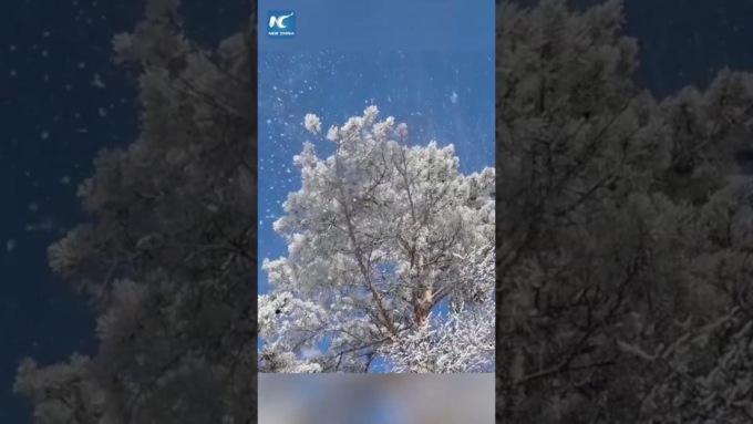 Cina: spettacolare cascata di brina e ghiaccio nello Heilongjiang