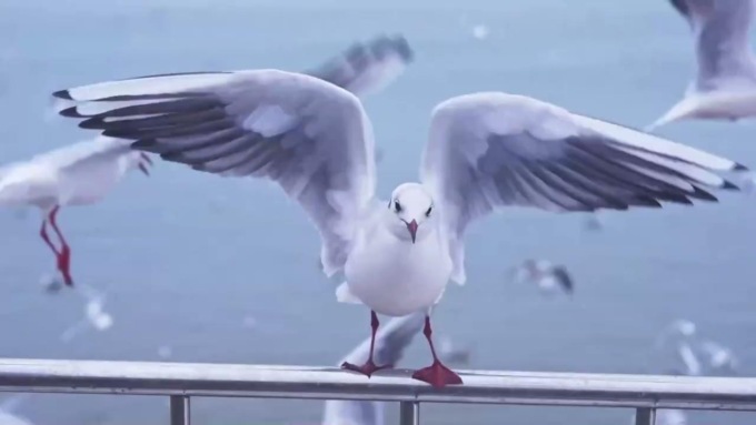 Cina: tour con drone della città innevata di Qingdao