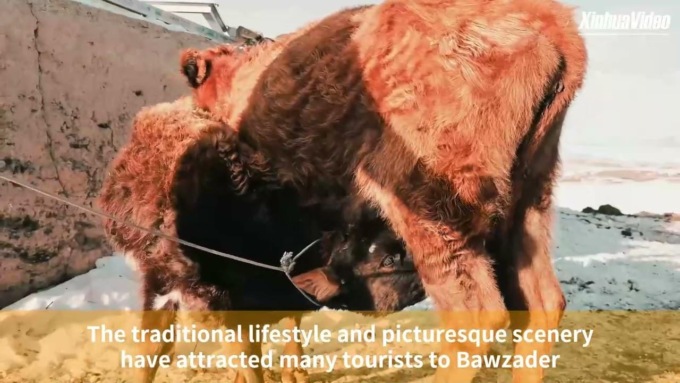 Cina: Xinjiang, “casa invernale” di un pastore nel pascolo di Bawzader