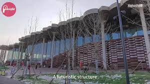 Cina: Biblioteca di Pechino spicca per stile e servizi intelligenti