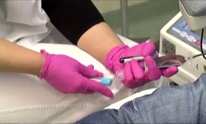 Avis, primo trimestre con numeri da record