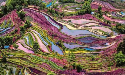 Vista aerea di una straordinaria terrazza nella Cina sud-occidentale