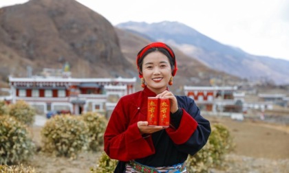 Cina: Sichuan, piantagioni di colture da reddito stimolano sviluppo rurale (1)