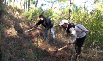 Cina: Yunnan, raccolta di tartufi neri a Yongren (1)
