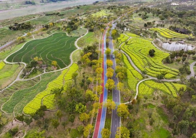 Cina: da minacciata a rigogliosa, ripristino ambientale dell’isola di Guangyang