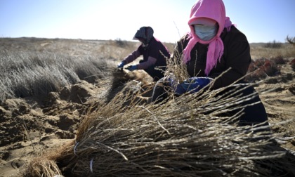 Cina: Ningxia, controllo della desertificazione nel Maowusu (1)