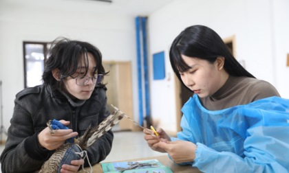 Cina: salvataggio degli uccelli allo Shenyang Raptor Rescue Center (1)