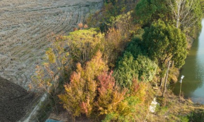 Cina: Hubei, scopriamo interno del sito di reperti di Qujialing (3)