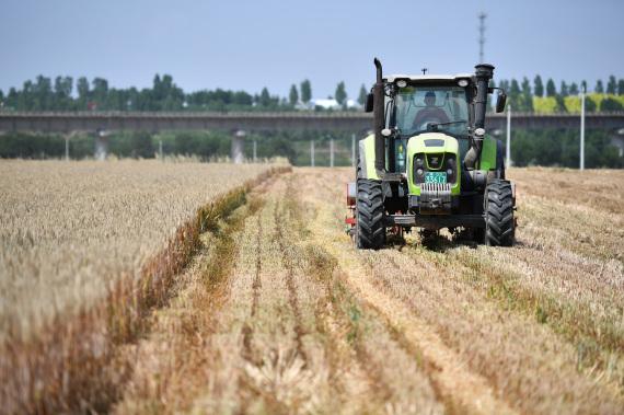 Cina: ministro, produzione cerealicola a livelli record nel 2023