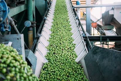 Insider, Cina sarà “mercato strategico” per produttori spagnoli olio d’oliva